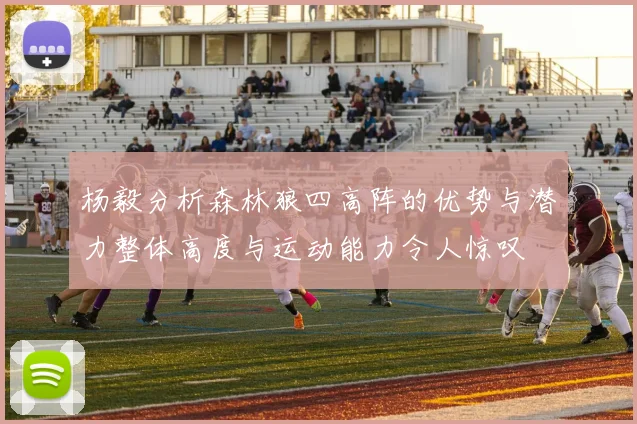 杨毅分析森林狼四高阵的优势与潜力整体高度与运动能力令人惊叹